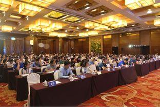 深度票(piao)據(ju)網(wang)2019商票(piao)生態(tai)峰會暨(ji)票(piao)據(ju)經紀(ji)商轉(zhuan)型(xing)研討(tao)會隆(long)重舉(ju)行，共繪(hui)貿(mao)易(yi)經紀(ji)新(xin)藍圖(tu)